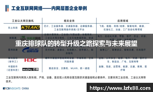 重庆排球队的转型升级之路探索与未来展望